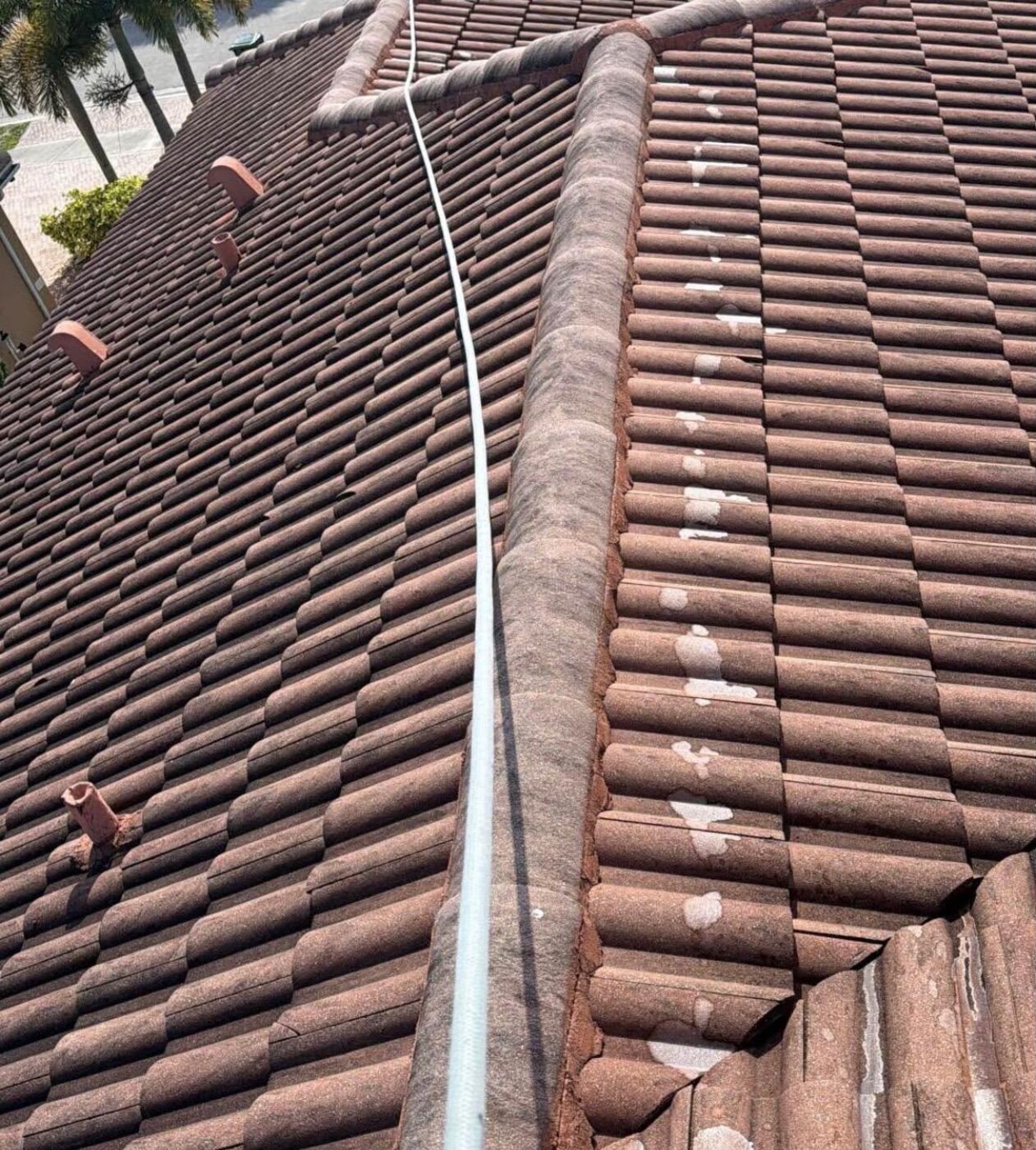 Techo con moho antes del lavado — Joel Pressure Washing